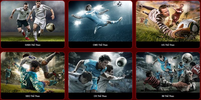 8XBET là nền tảng không nên bỏ qua