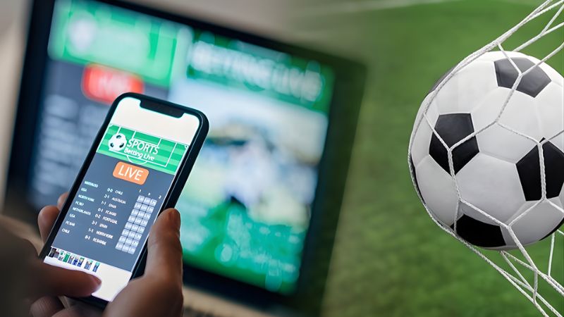 Người chơi cần chọn trang cá độ online hợp pháp để bảo vệ chính mình